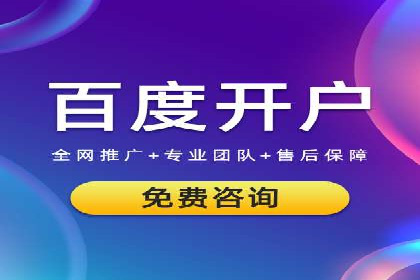 SEM投放策略优化案例分析